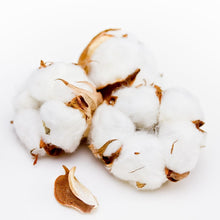 Load image into Gallery viewer, 400ml Signature Collection