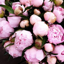 Load image into Gallery viewer, 400ml Signature Collection